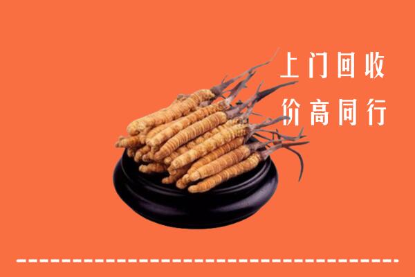 高价求购：西安区回收散虫草