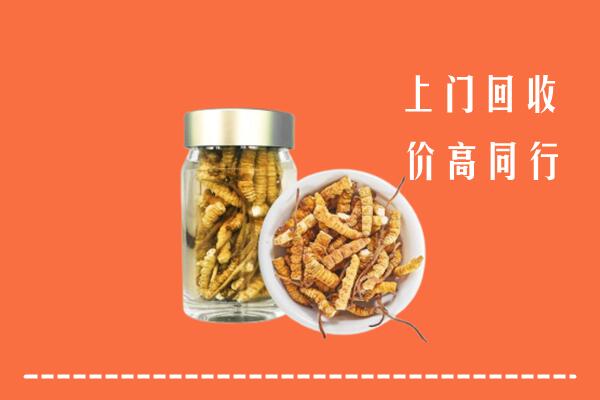 西安区回收冬虫夏草